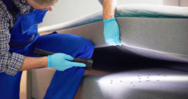 Best Pest Removal Services  in Lodi, CA